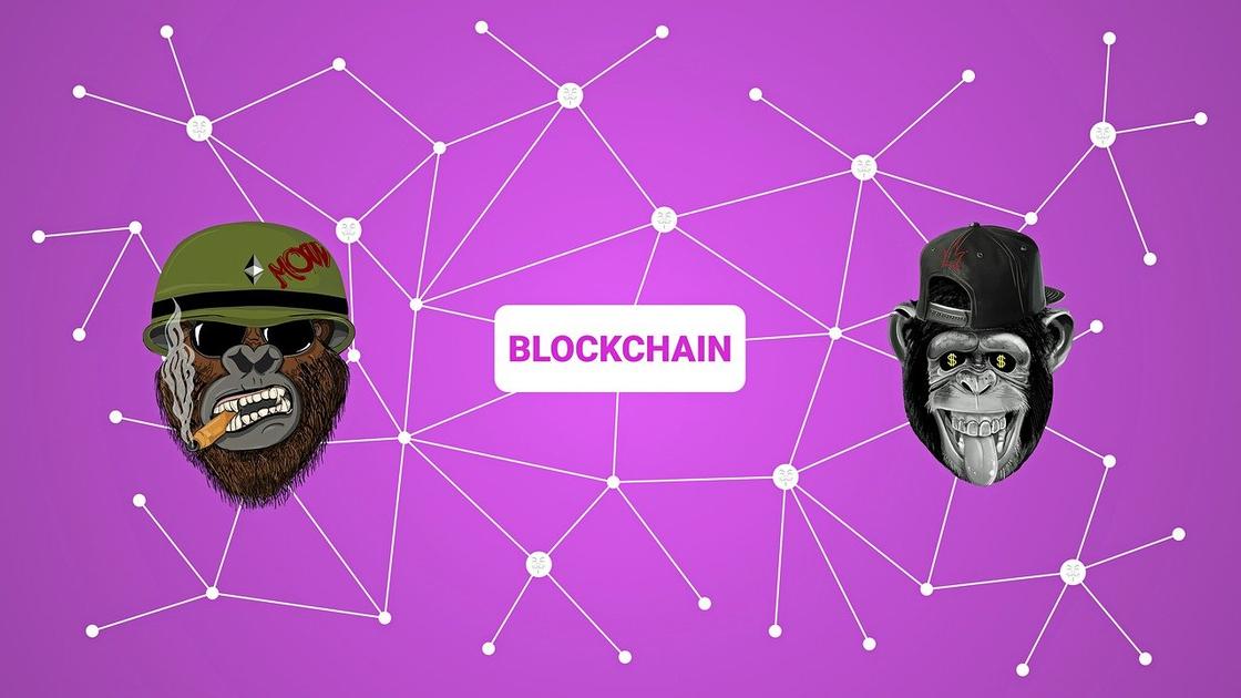 Пример NFT с изображением обезьян Пример NFT с изображением обезьян