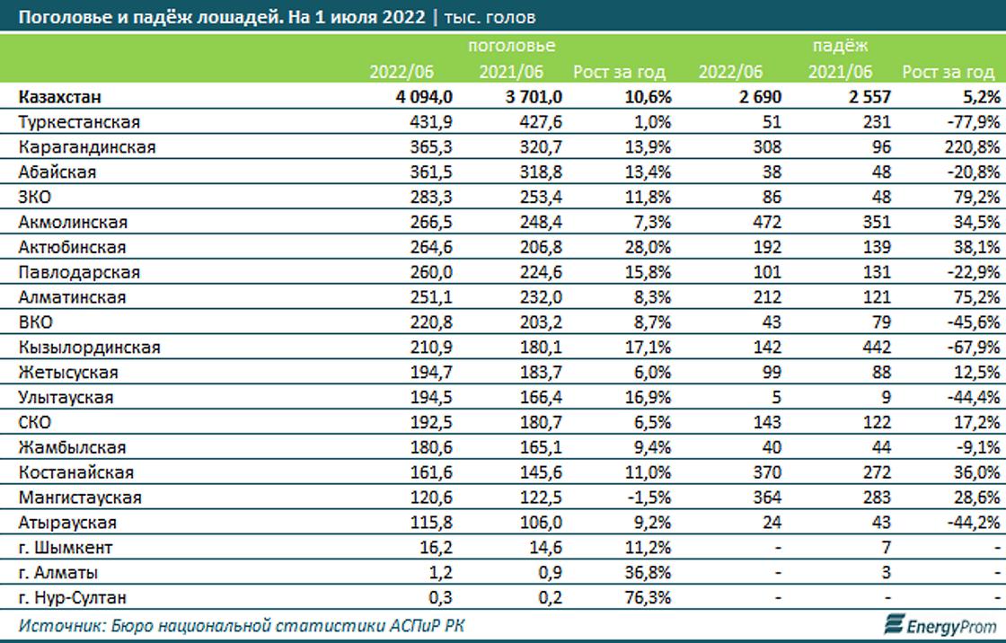 В Казахстане насчитывается порядка 4,1 млн лошадей. Больше всего лошадей в Туркестанской области, а меньше всего - в Нур-Султане.