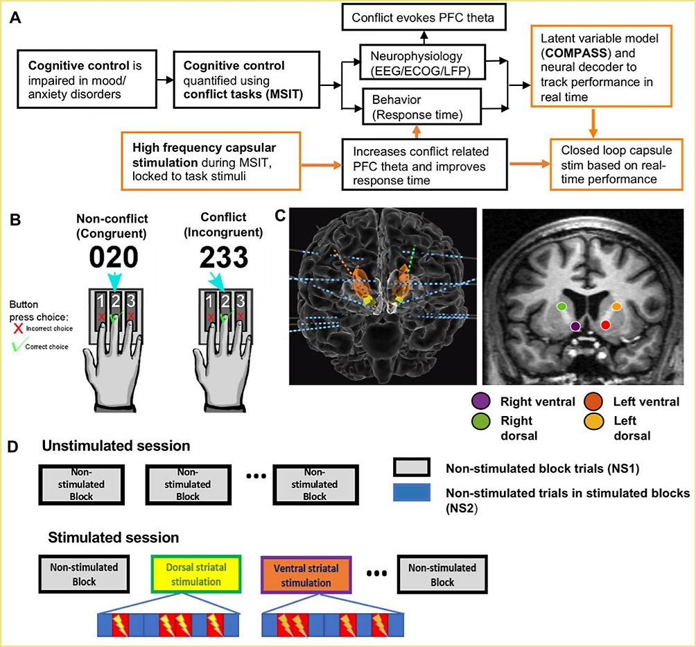 возрастные когнитивные изменения