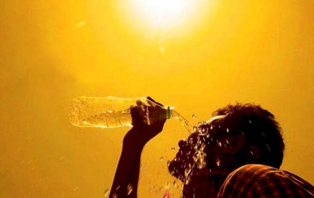 zhara i solncze - Bizmedia.kz